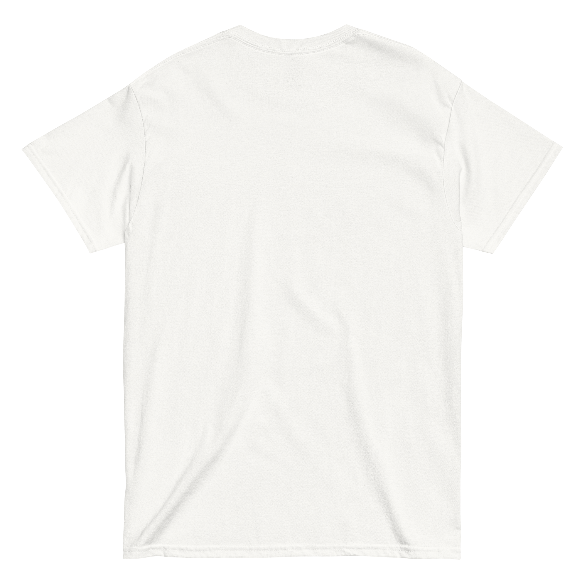 White t-shirt on a white background